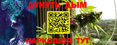 шишки Обнинск