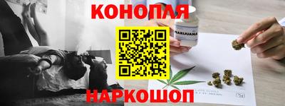 шишки Обнинск