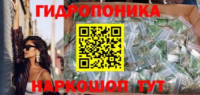 шишки Обнинск